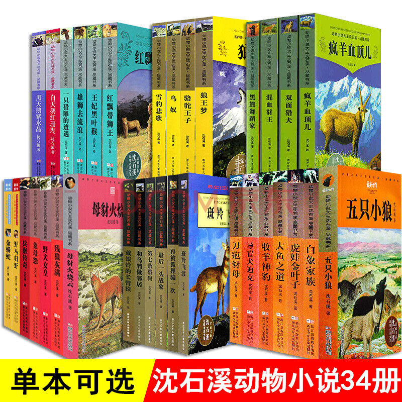 沈石溪动物小说全套34册品藏书系全集系列【单本可选 沈石溪的书11