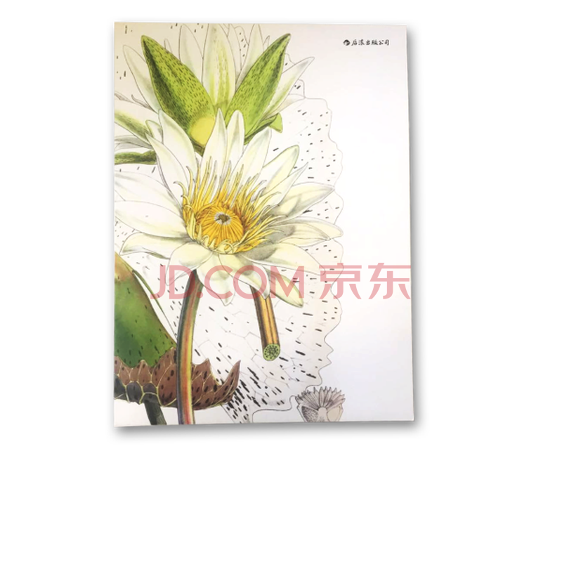 股票大作手操盘术+股票大作手回忆录