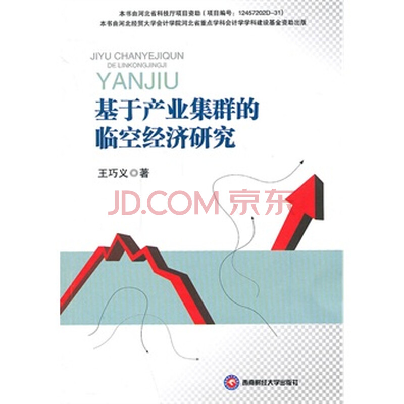 基于产业集群的临空经济研究图片