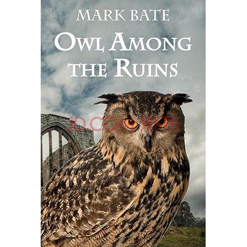 owl among the ruins