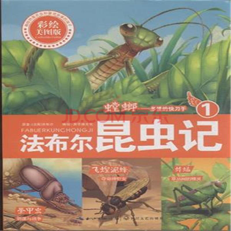 螳螂-多情的快刀手-法布尔昆虫记-1-彩绘美图版