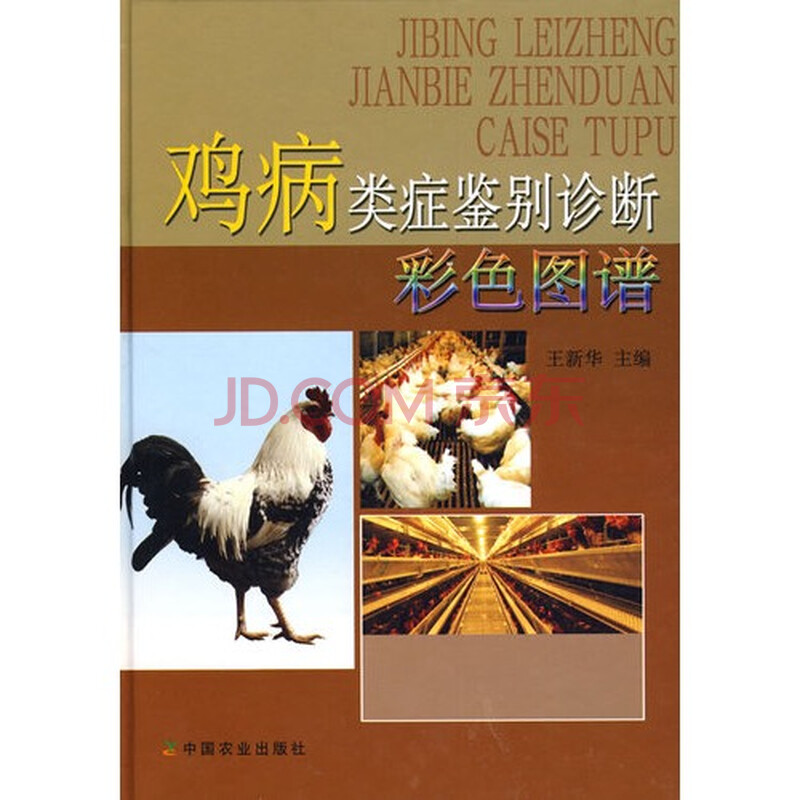 鸡病类症鉴别诊断彩色图谱 王新华978710913