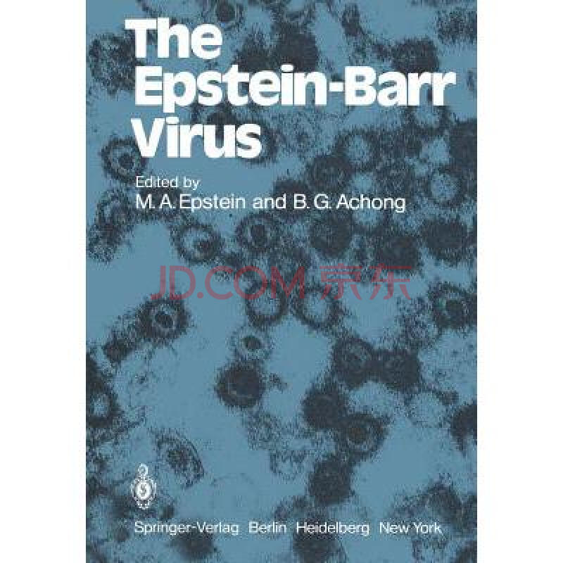 the epstein-barr virus