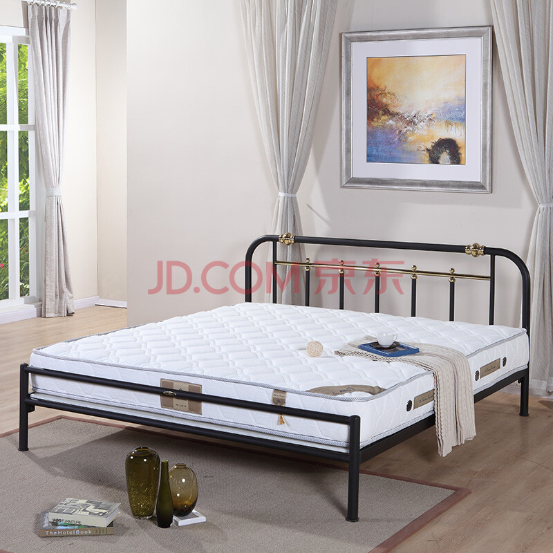 天坛家具 铁艺床 钢管床 钢床 铁床 双人床 黑色低架床 1800*2000