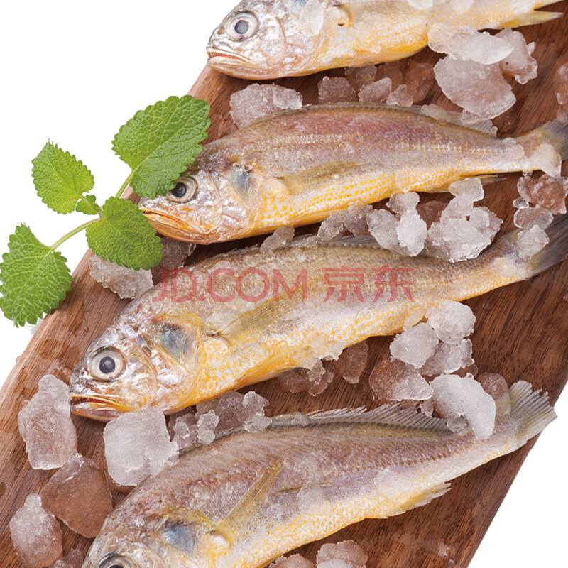 Öèµ½ ¶«º£Ò°Éú΢¶³Ð¡»ÆÓã È«ÐÂÒºµª¼¼Êõ 400g 6-8Ìõ