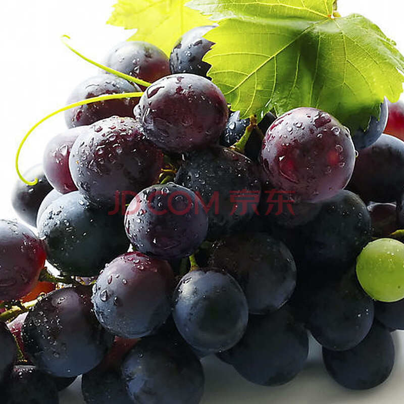 【新发地】葡萄巨峰葡萄马陆葡萄约2斤 有机产