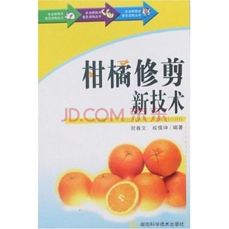 柑橘修剪新技术图片