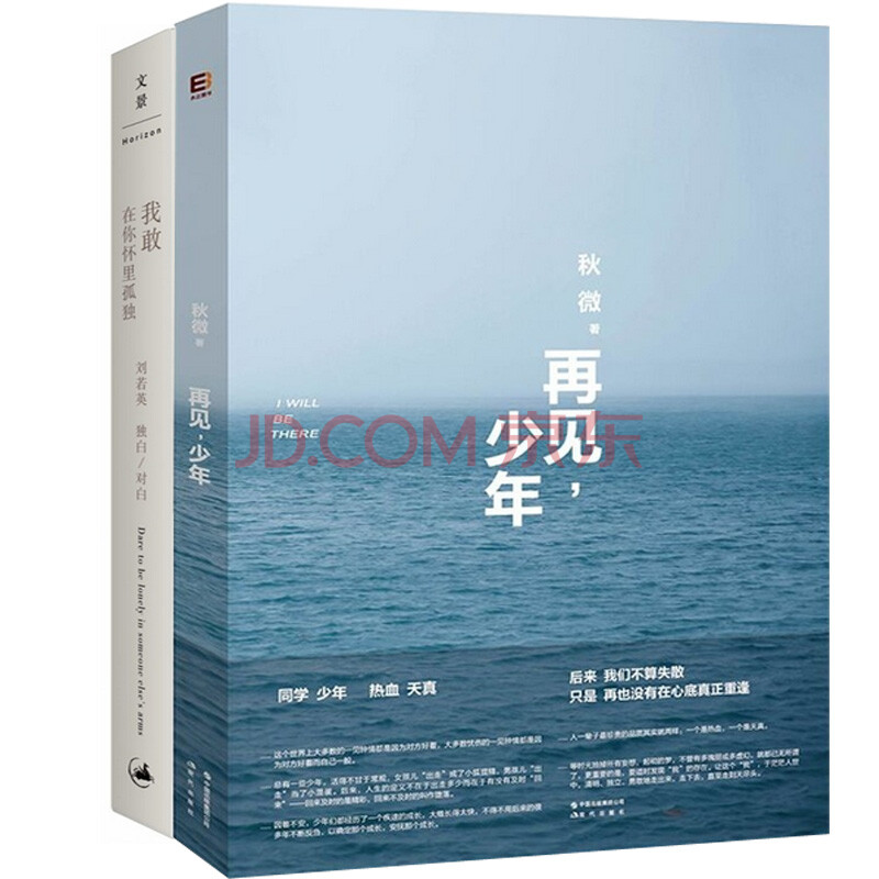 再见少年 我敢在你怀里孤独(共2册)