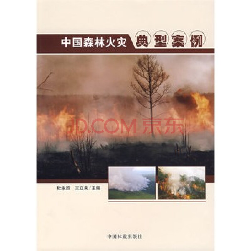中国森林火灾典型案例1953-2005图片