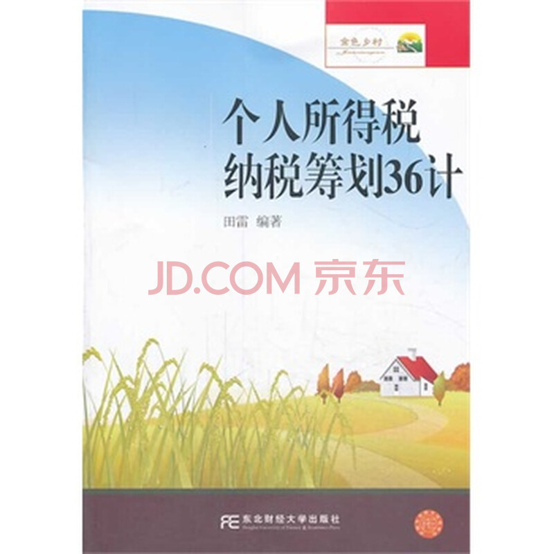 个人所得税纳税筹划36计 田雷著 东北财经大学