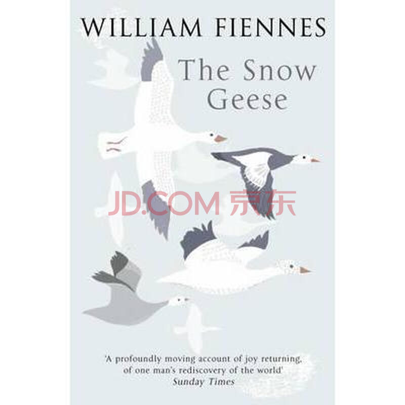 the snow geese