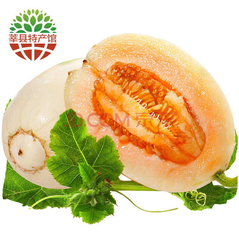 【莘县馆】东方蜜甜瓜 香瓜 新鲜水果 山东特产 约2kg-2.25kg装