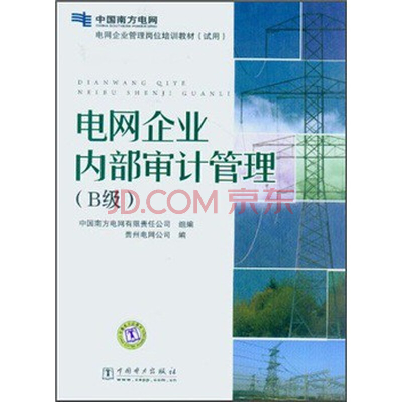 内部审计试用期主要工作及完成情况