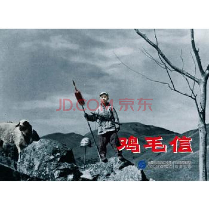 鸡毛信 赵刚 9787516204306