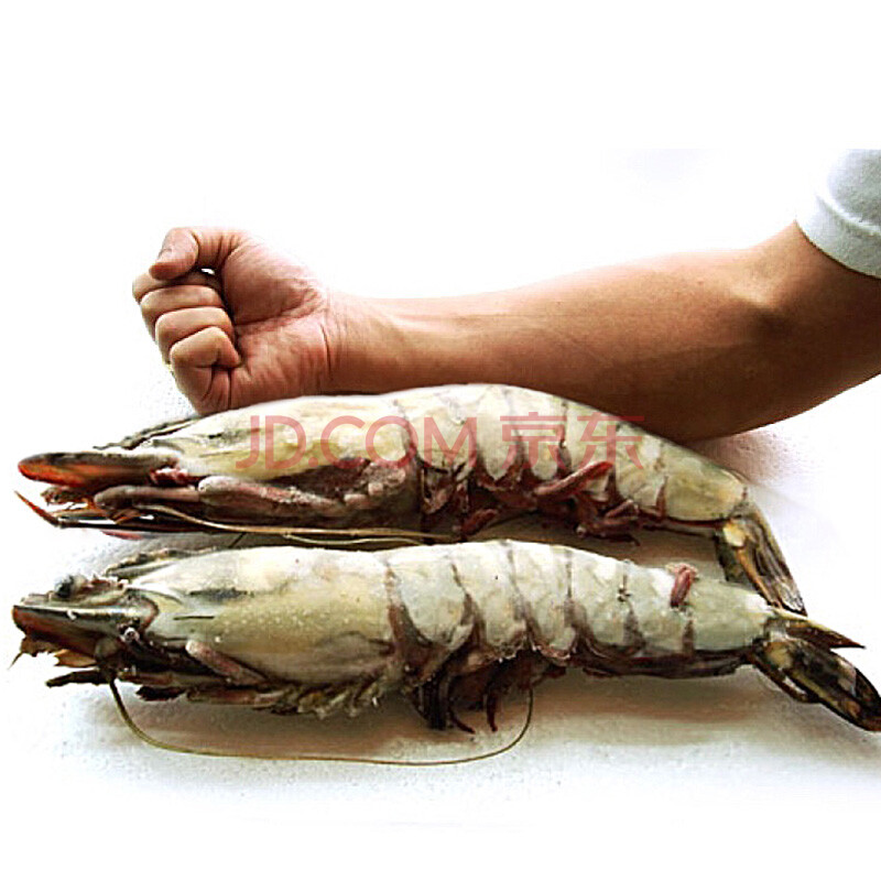 京鲜生 缅甸进口大虎虾 海鲜水产大虾 新鲜冻品 团购有优惠 1kg斤3个