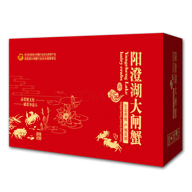 阳澄美 正宗生态阳澄湖大闸蟹实物礼盒 悦享ty10型 优级10只装 螃蟹