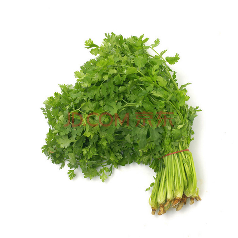 蔬菜种子 家庭阳台种植 盆栽蔬菜水果种子 白菜200粒