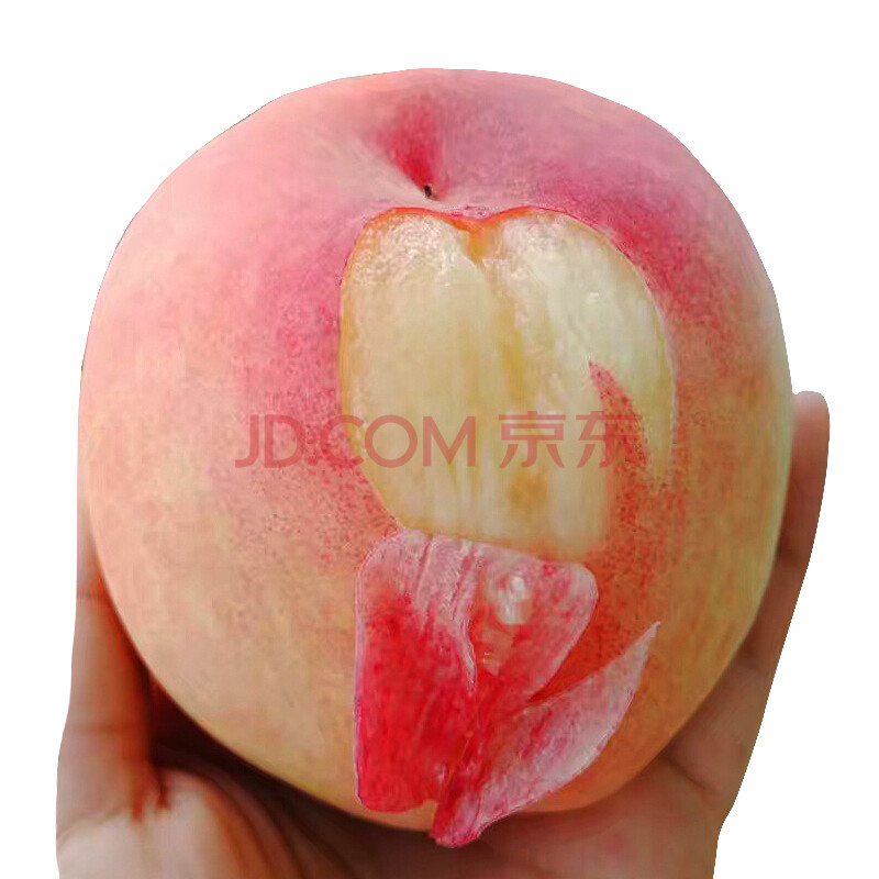 Õý×ÚÎÞÎýÑôɽˮÃÛÌÒʱÁîÐÂÏÊË®¹ûÌÒ×Ó ÎÞÎýÌØ²ú ÐÂÏÊË®¹ûÌÒ×Ó»ÆÌÒÓÍÌÒëÌÒ½õÐå 12Ö»ÀñºÐ×° µ¥¹û4Á½×óÓÒ