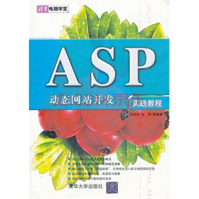 VIP-ASP 动态网站开发实践教程(清华电脑学堂