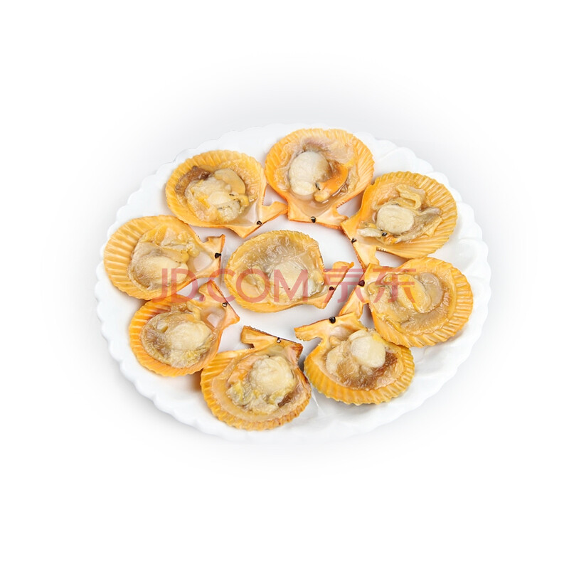 聚鲜品 朝鲜进口 黄金扇贝 半壳扇贝 新鲜冷冻 