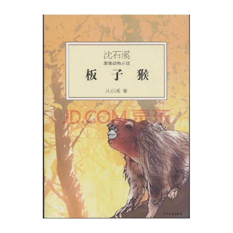 板子猴-沈石溪激情动物小说图片