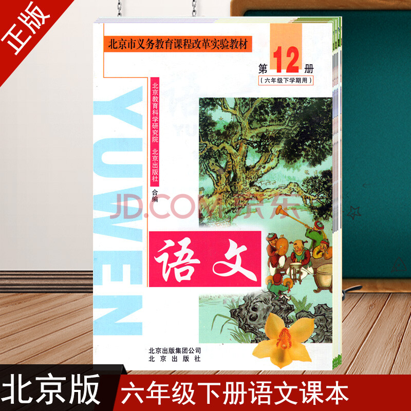 新版 北京版 小学六年级下册 语文书 北京课改版 6年级语文下册 六