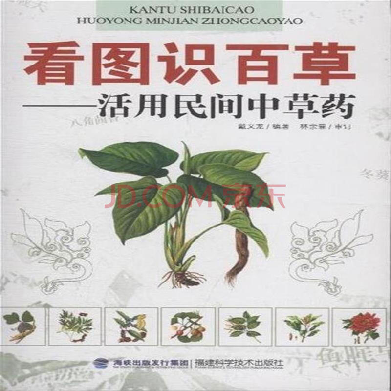 看图识百草-活用民间中草药