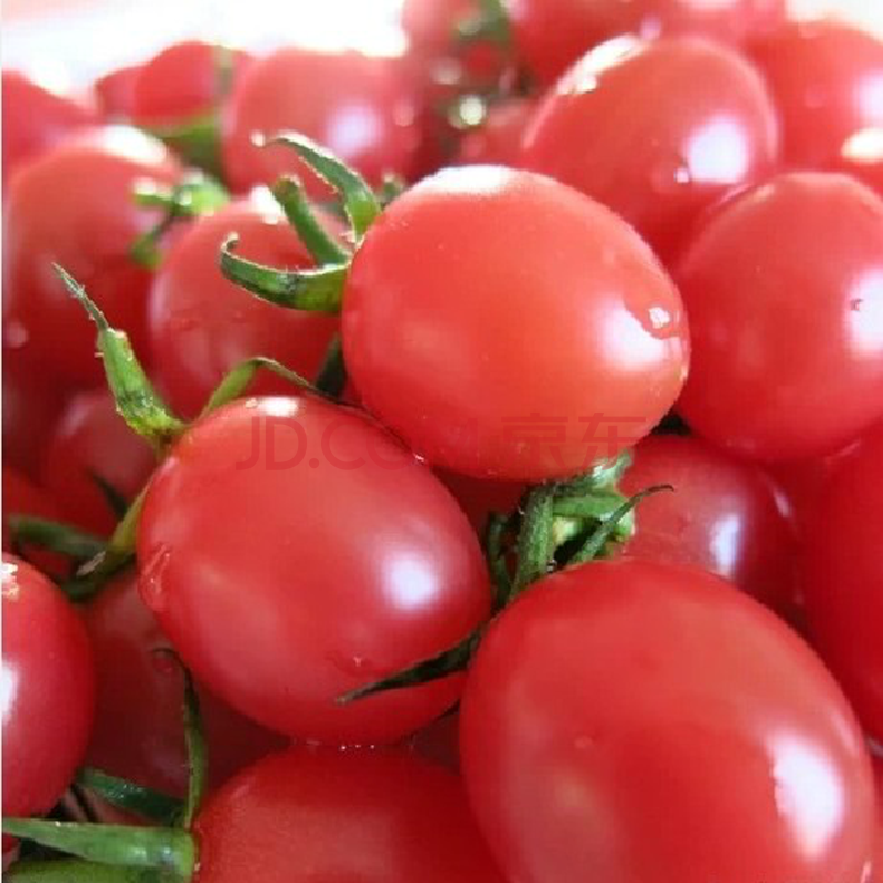 【人人一亩田】新鲜上市水果 圣女果 小番茄4