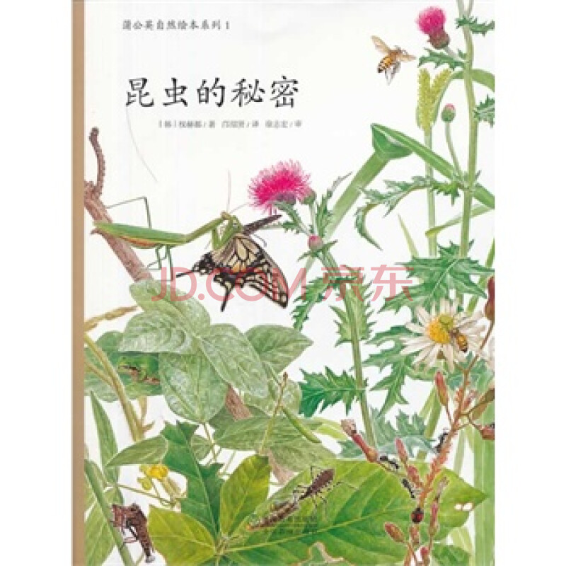 蒲公英自然绘本系列:昆虫的秘密(韩)权赫都,邝绍贤