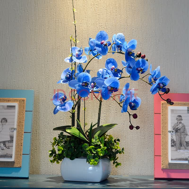 如一花开 手感蝴蝶兰仿真花套装 兰花假花装饰花 客厅