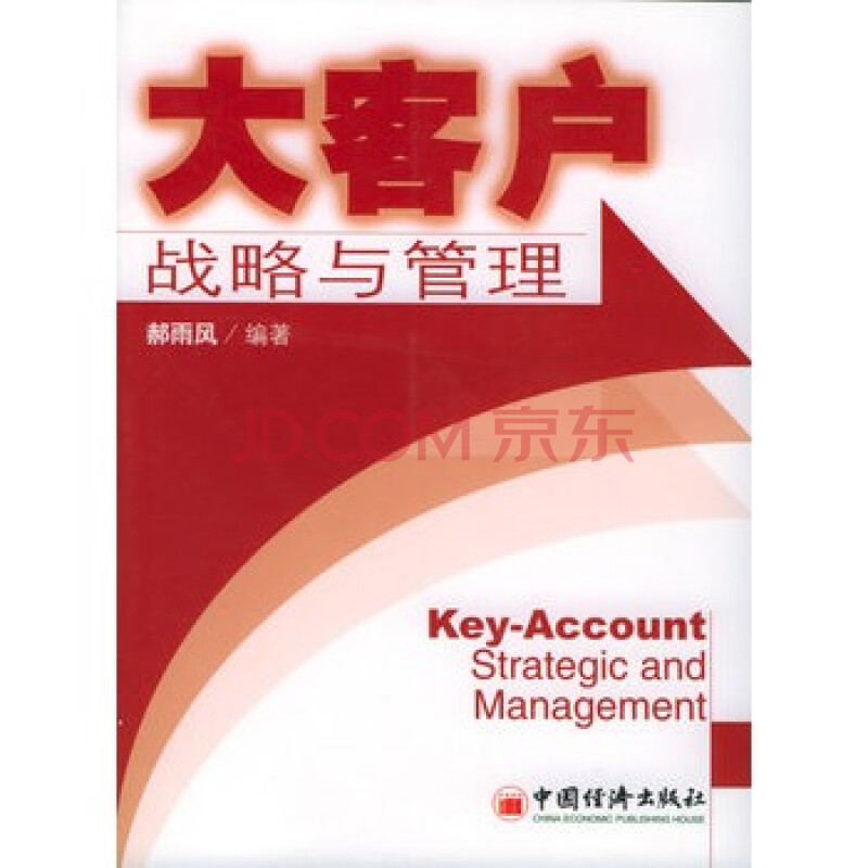 《大客户战略与管理--大客户营销管理丛书(4-1