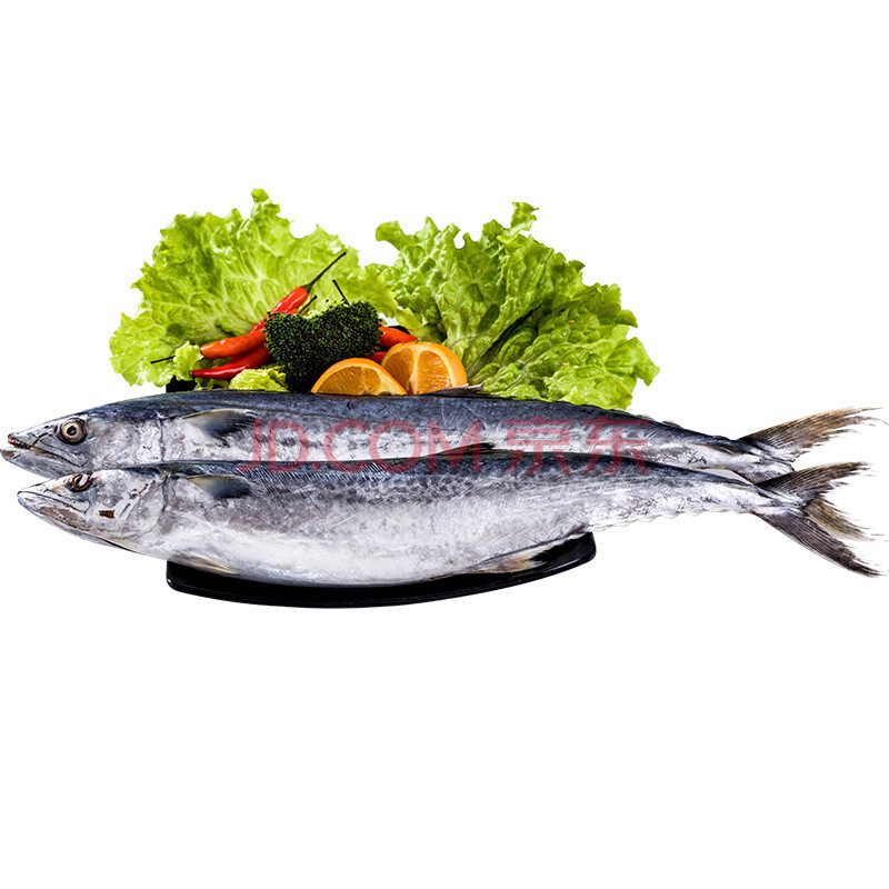 öÑÓã ÐÂÏÊ´óöÑÓã ÑàöÑÓã ÂíöÞÓã ÇൺÉ º£ÏÊË®²ú ˳·á 5ÌõÔ¼1.5-1.75kg