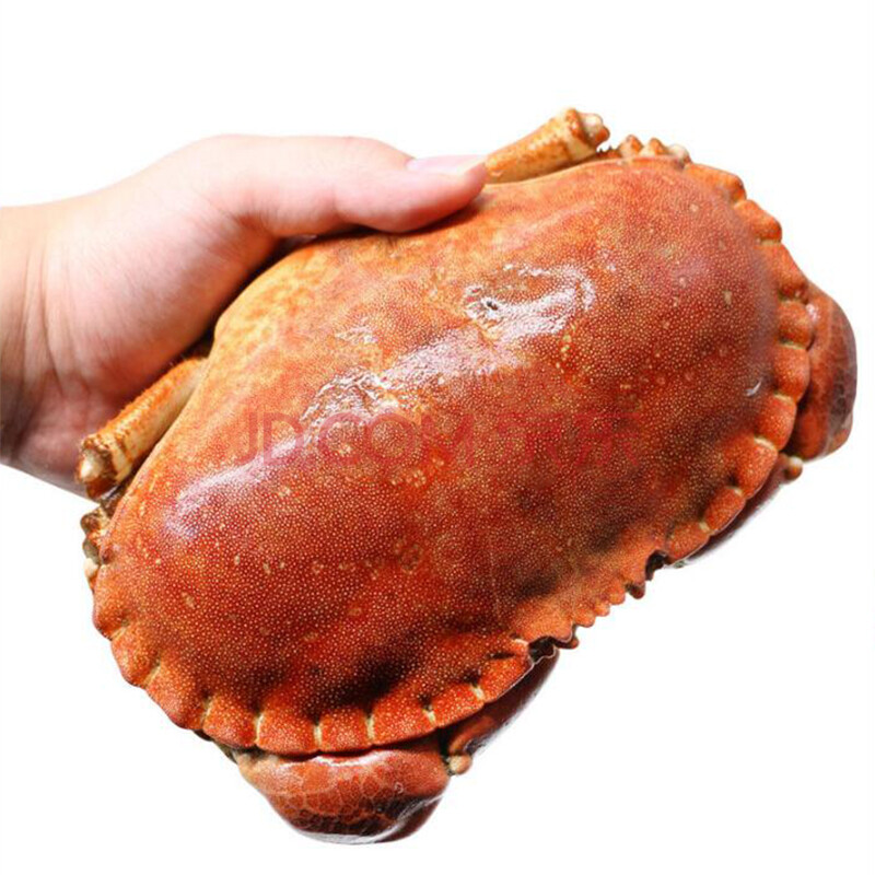 ³¬´óºÅ ×𵺠°®¶ûÀ¼Êì¶³Ãæ°üз 1400-1100g 1Ö»´ü×° »Æ¶àÈâ·Ê