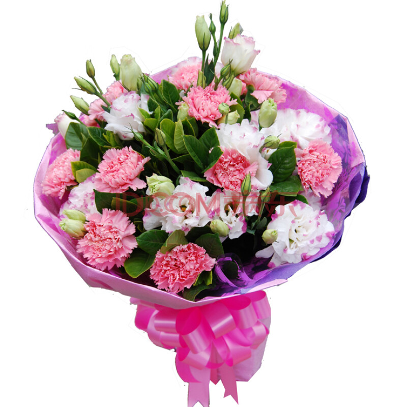 鲜花速递 康乃馨花束送长辈生日鲜花 母亲节鲜花生日礼物