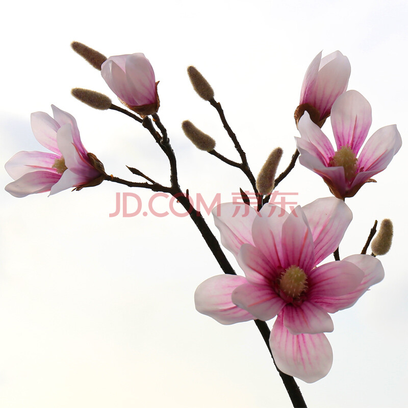 仿真花束 玉兰 客厅装饰摆件假花 单支pu玉兰花插花花束假花花艺 中长