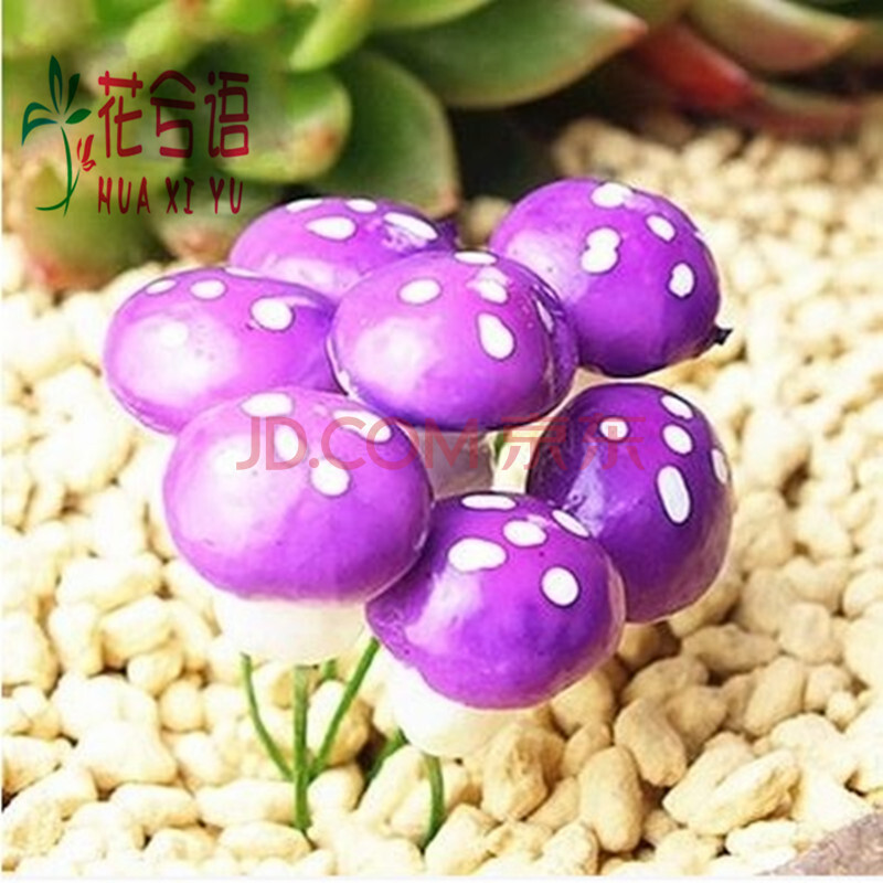 多肉组合花盆园艺装饰摆件 微景观装饰品 多彩小蘑菇 紫色 单个装