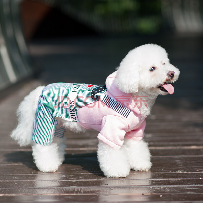 宠物服饰 狗狗秋冬衣服 比熊贵宾博美泰迪时尚四脚卫衣 粉色胡子 xl号
