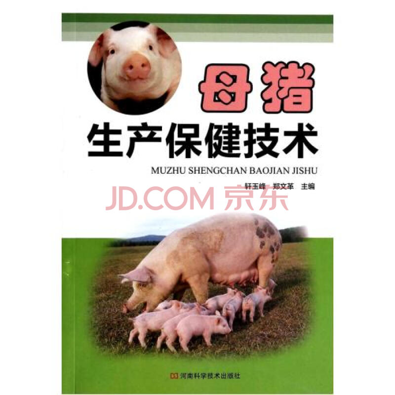 母猪生产保健技术图片