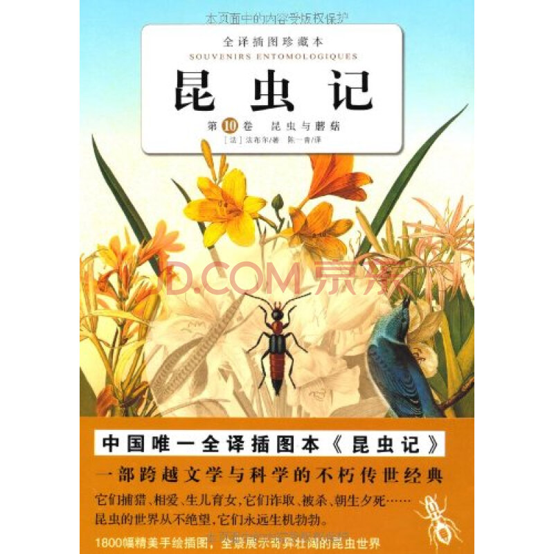 昆虫记(第10卷):昆虫与蘑菇(全译插图珍藏本) 9787539038636