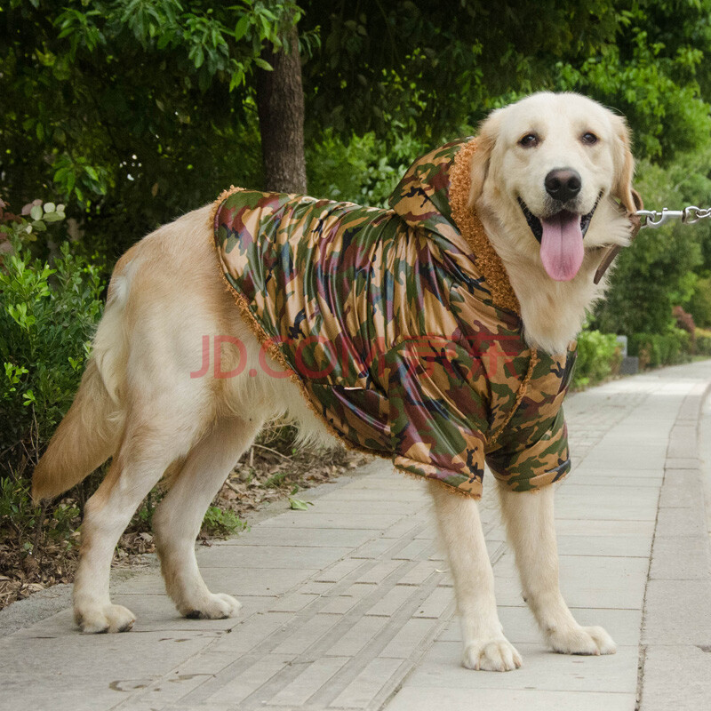 狗狗衣服 大型犬宠物 大狗松狮拉布拉多金毛萨摩耶哈士奇 秋冬装 6xl