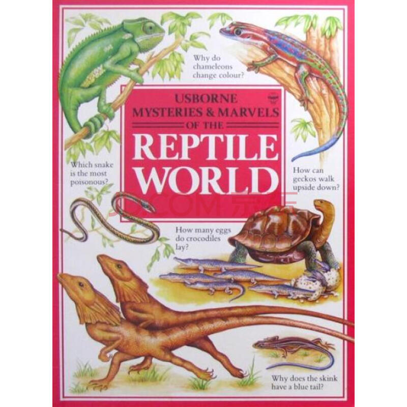 reptile world爬行动物世界 (纸板奥秘 & 奇迹)原版进口外文儿童绘本