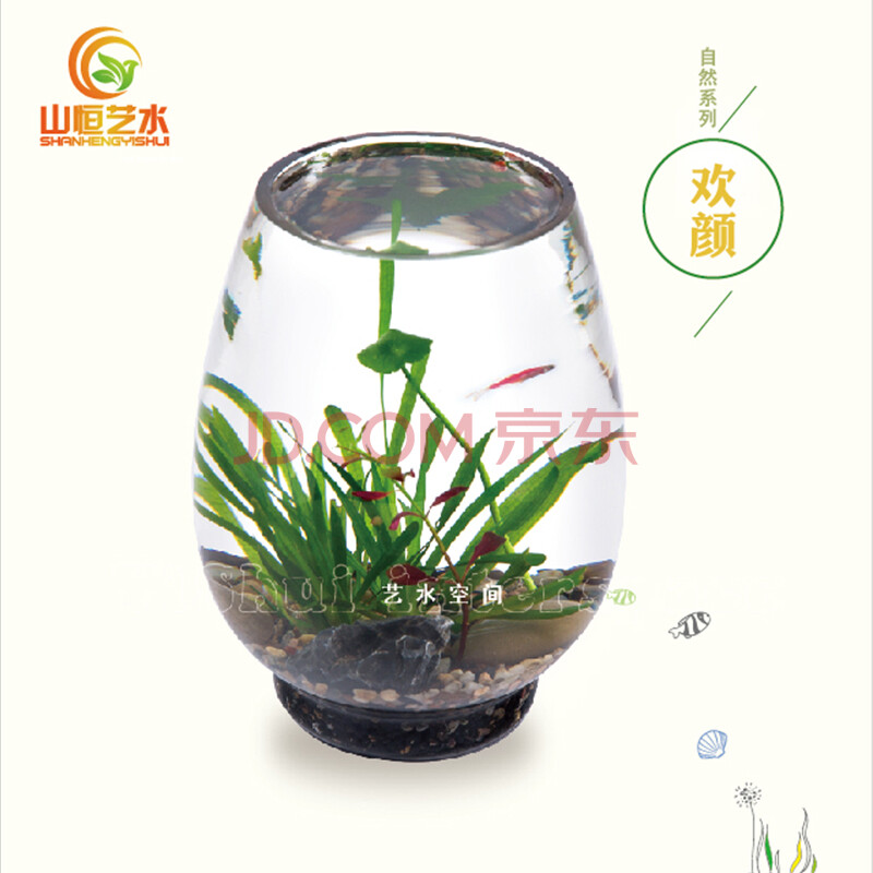 创意水装饰_懒人鱼缸水生态景观创意礼品活水草办公 ...