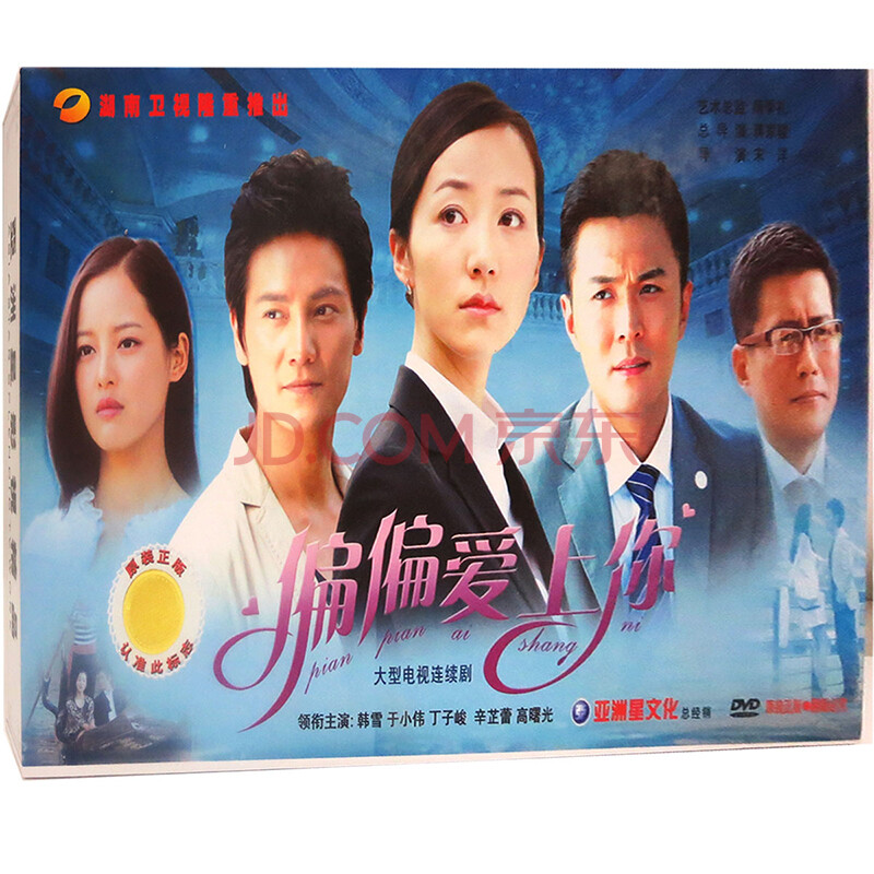 原装正版 珍藏版电视剧 偏偏爱上你 (10dvd韩雪 于小伟 丁子峻)