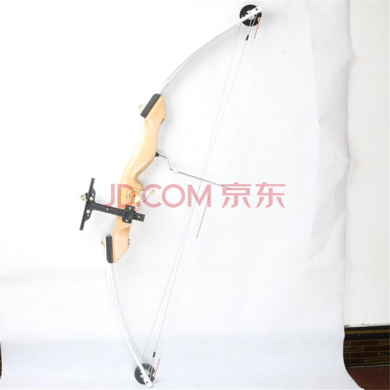 致观 传统复合弓ct16 户外竞技比赛健身狩猎器材