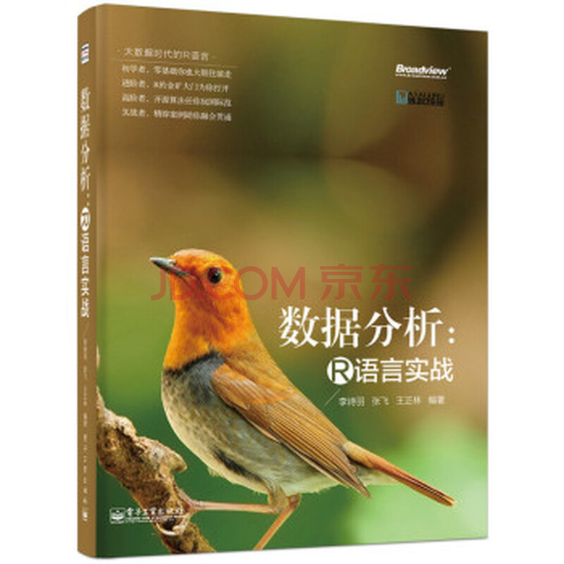 大数据时代的R语言 数据分析:R语言实战 李诗