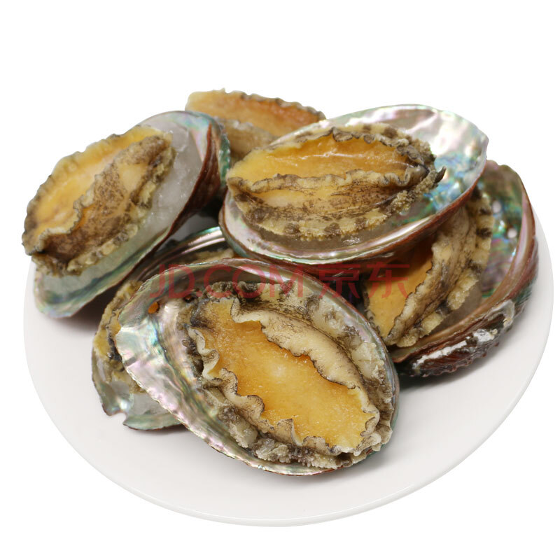 聚福鮮 熟凍深海鮑魚 火鍋食材 帶冰500克 6只裝 1袋