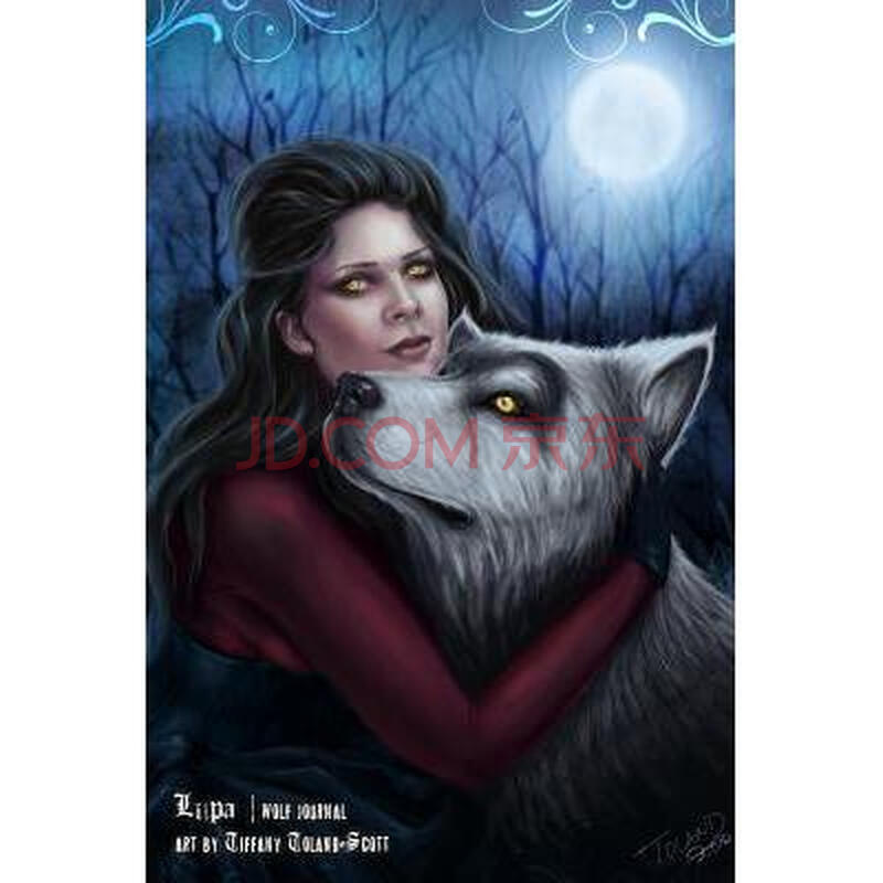 电脑显示usn journal_aiaa journal 模拟器_怎么解决usn journal