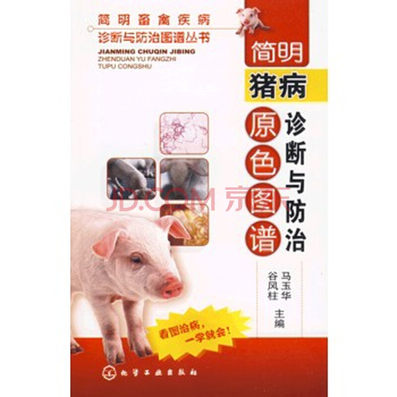 简明猪病诊断与v图谱图谱图片妹子表情包不管我我要原色图片