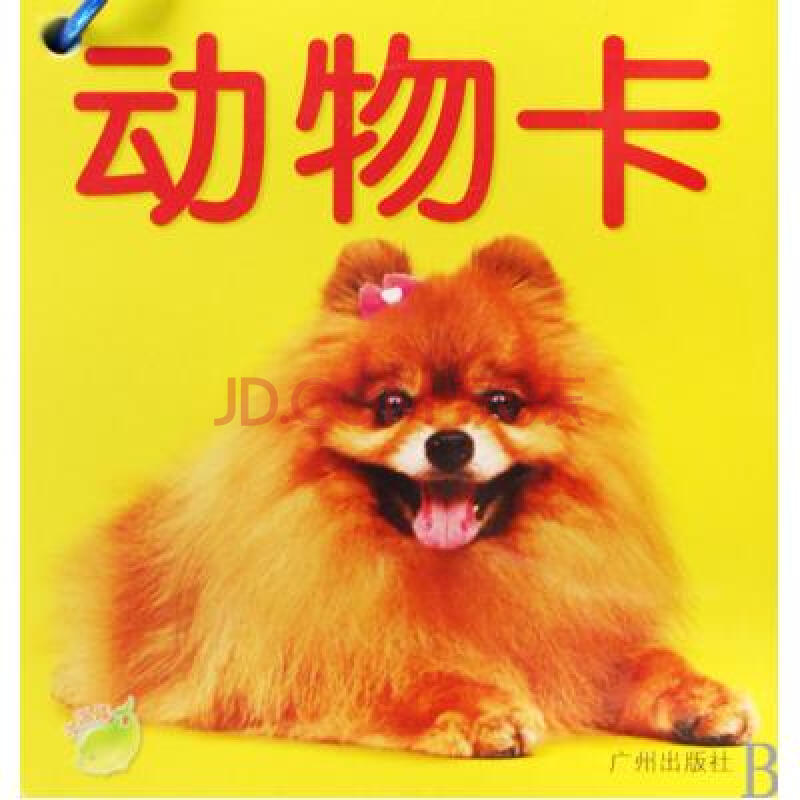动物卡/小海豚双语认知全卡 易文//刘静 正版书籍