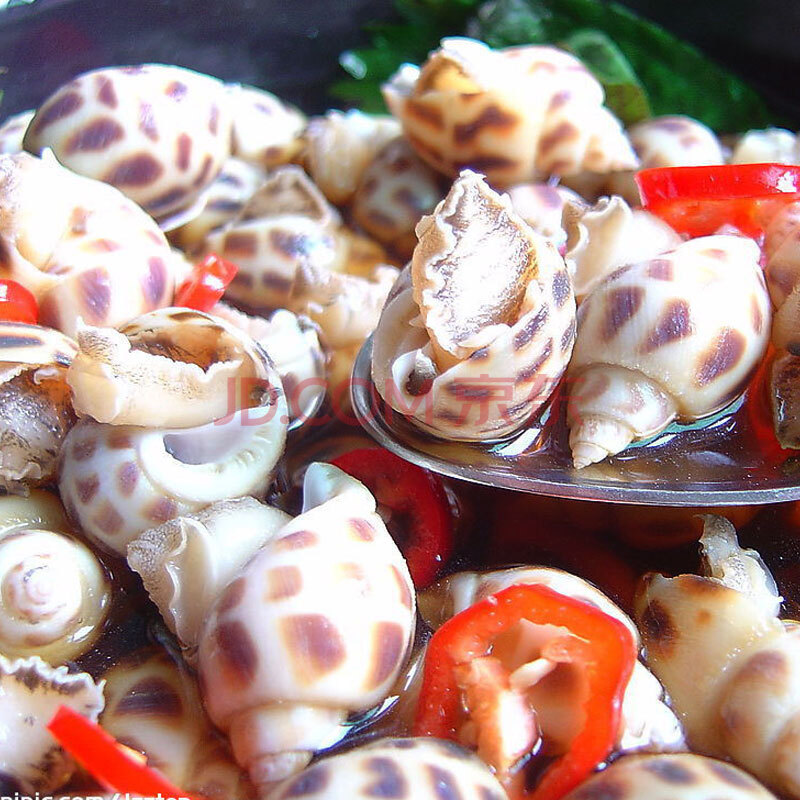 【宅鲜配】花螺 海鲜鲜活 东风螺 500g/份 营养美味海鲜
